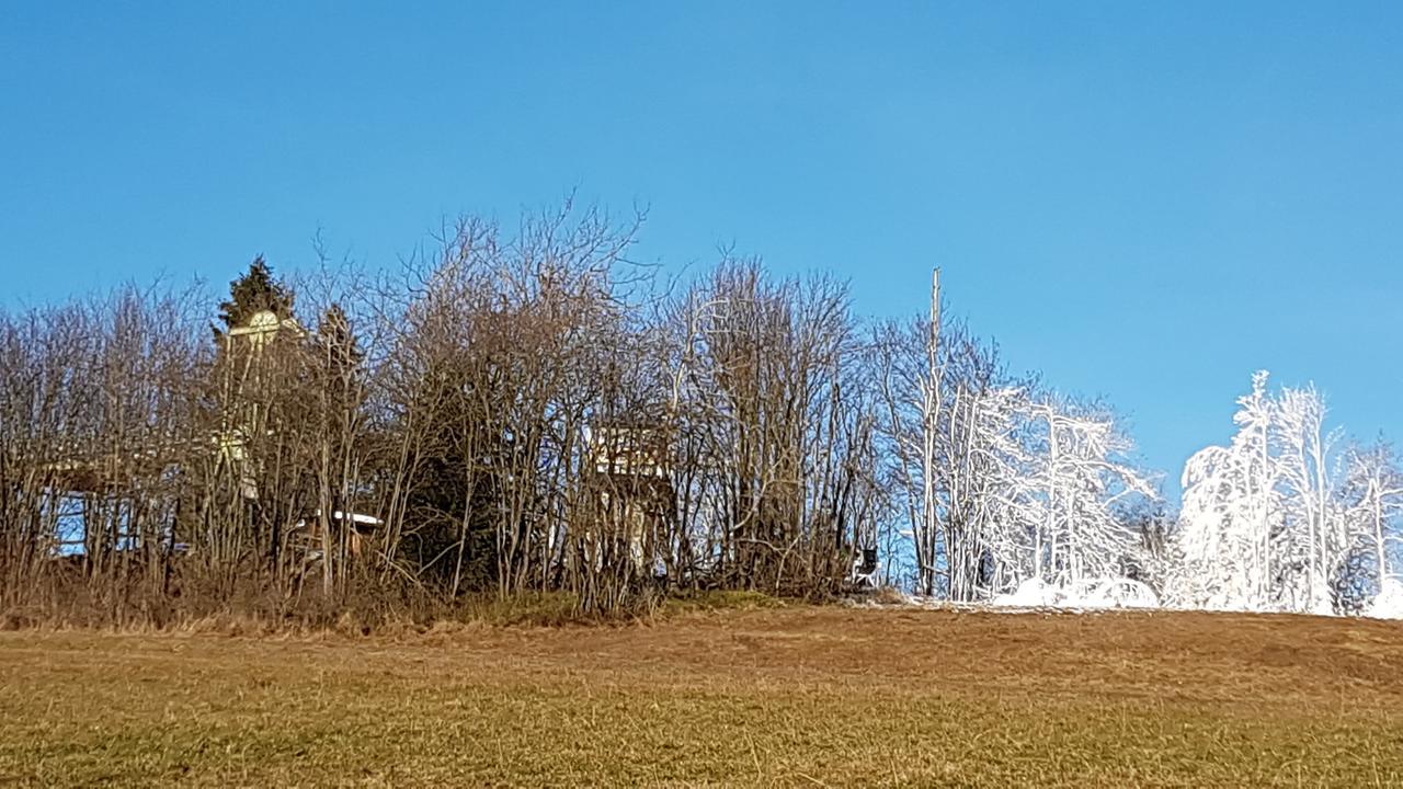 Haus Nicole Daire Winterberg Dış mekan fotoğraf